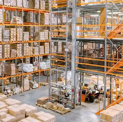 Custom Layout & Optimization